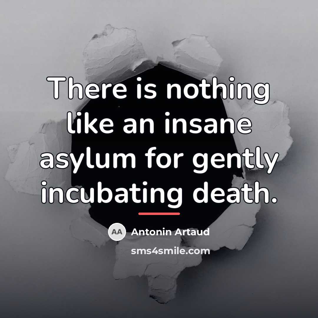 “There is nothing like an insane asylum for gently incubating…” quote by Antonin Artaud