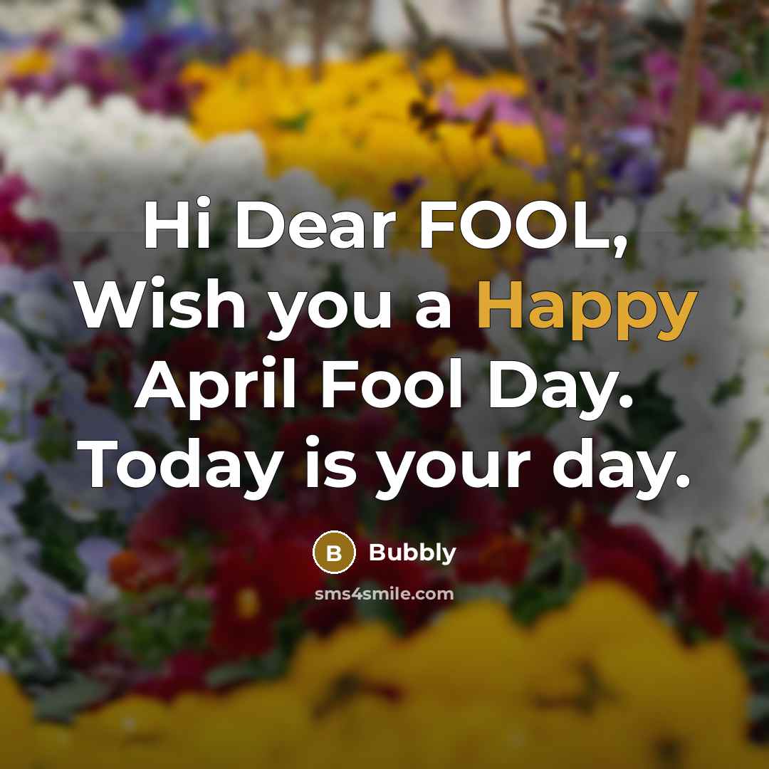 “Hi Dear FOOL, Wish you a Happy April Fool Day. Today is your day.” quote by Bubbly