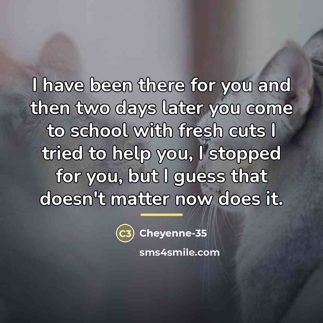 “I have been there for you and then two days…” quote by Cheyenne-35