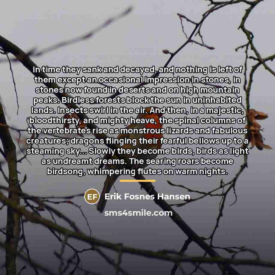 “In time they sank and decayed, and nothing is left…” quote by Erik Fosnes Hansen