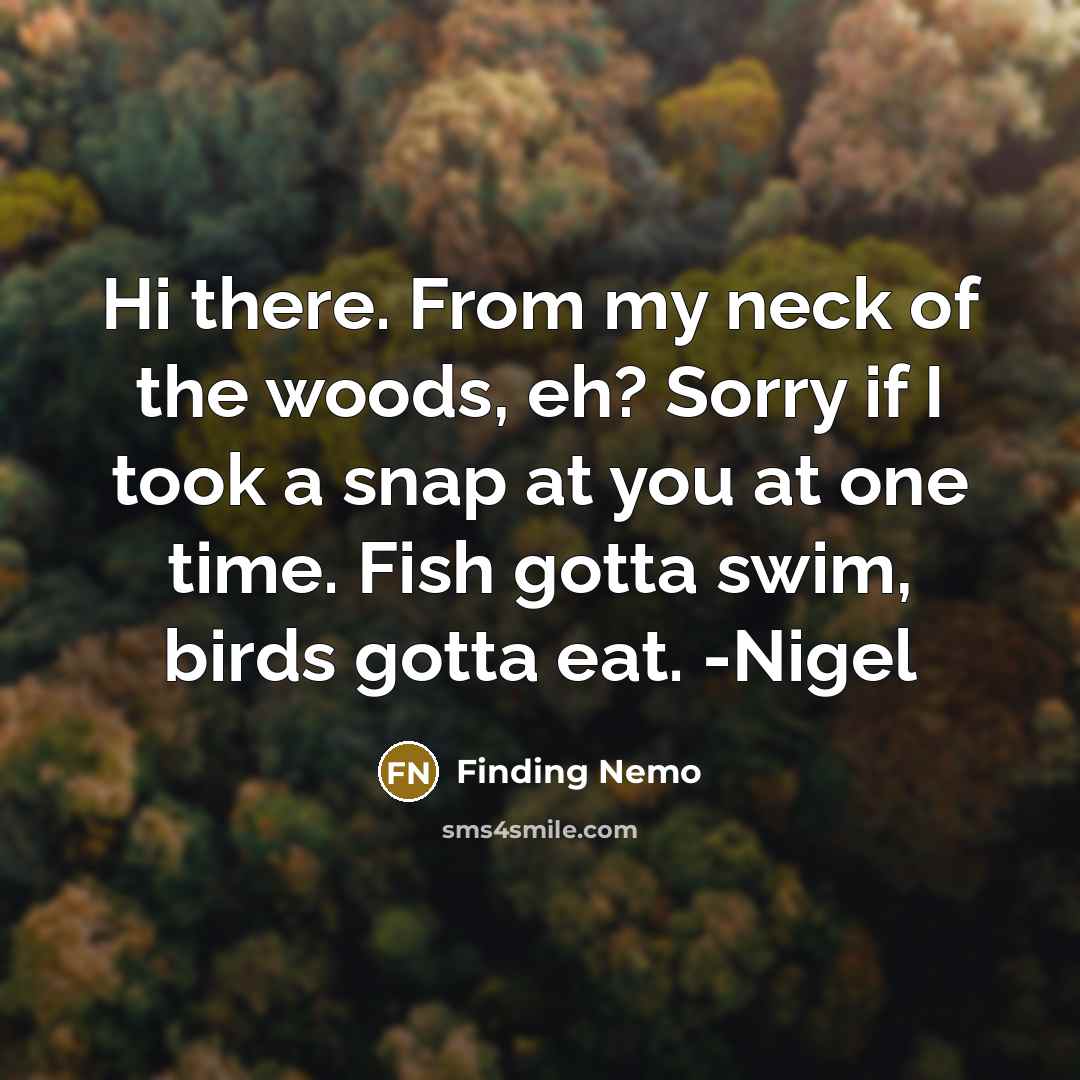“Hi there. From my neck of the woods, eh? Sorry…” quote by Finding Nemo