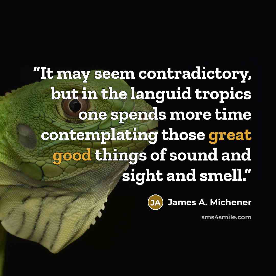 “It may seem contradictory, but in the languid tropics one spends more time contemplating those great good things of sound and sight and smell.” quote by James A. Michener
