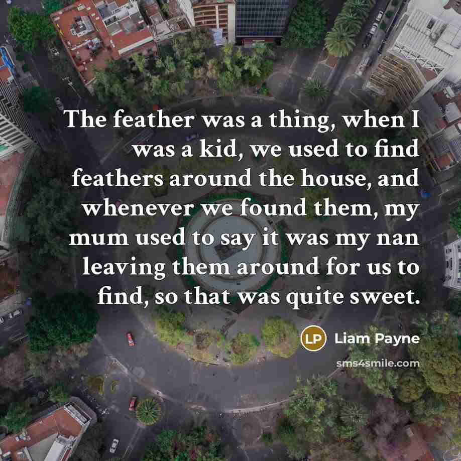 “The feather was a thing, when I was a kid,…” quote by Liam Payne