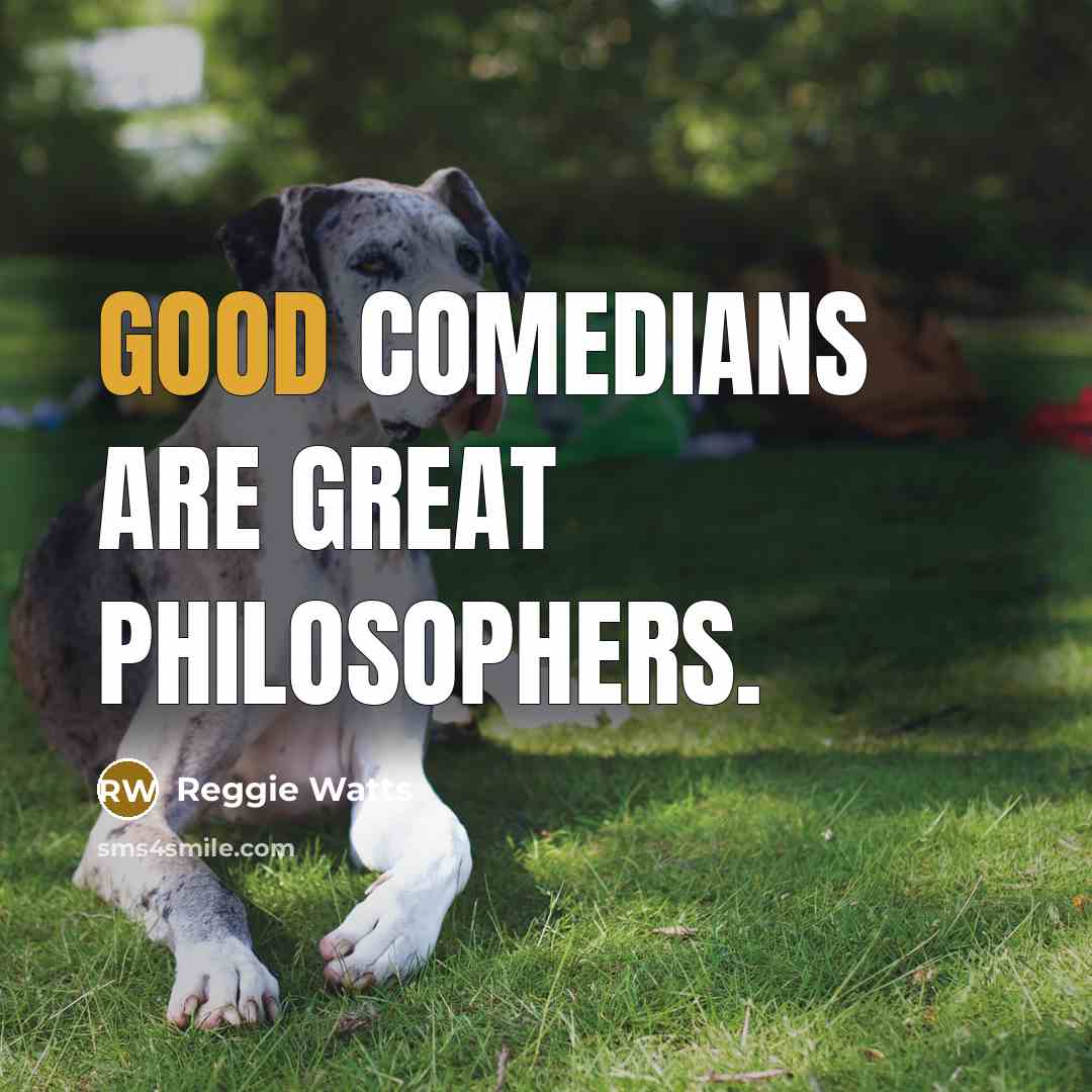 “Good comedians are great philosophers.…” quote by Reggie Watts