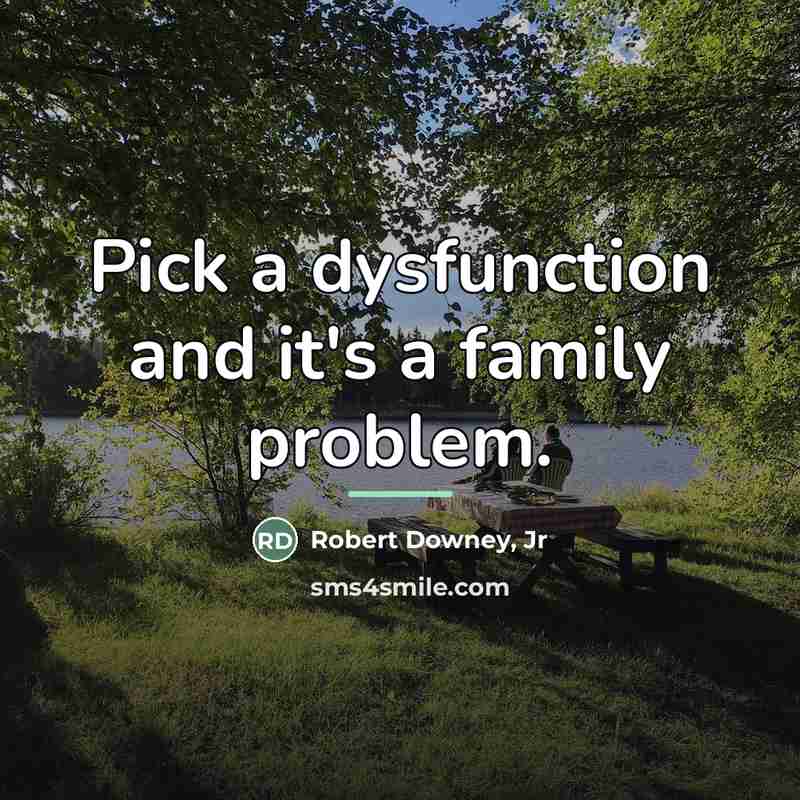 “Pick a dysfunction and it's a family problem.…” quote by Robert Downey, Jr