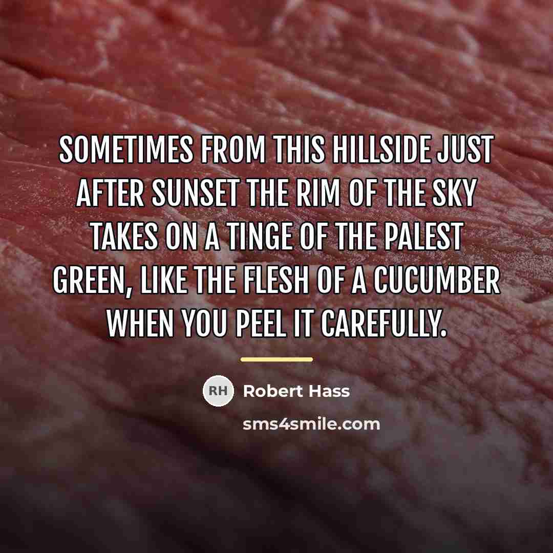 “Sometimes from this hillside just after sunset The rim of…” quote by Robert Hass