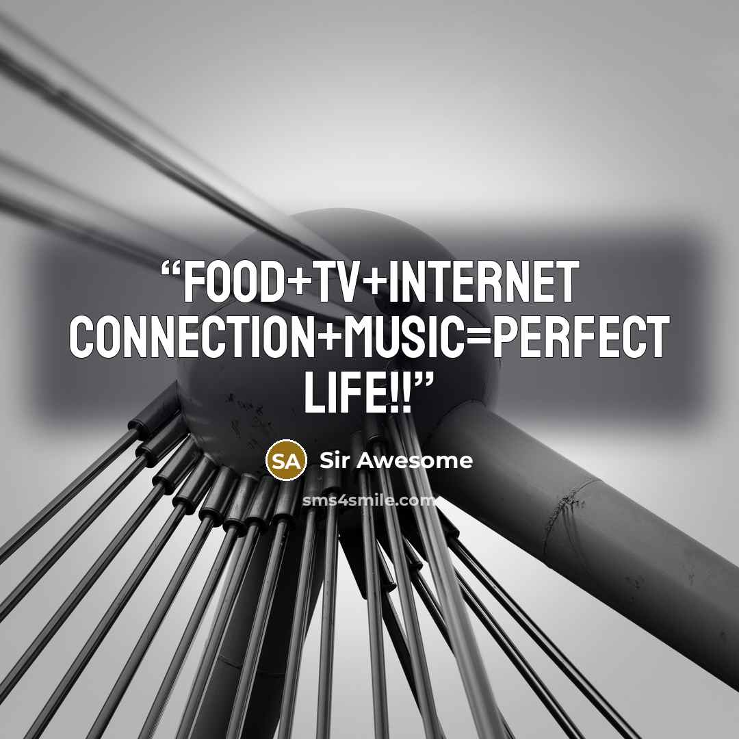“Food+TV+internet connection+music=PERFECT LIFE!!” quote by Sir Awesome