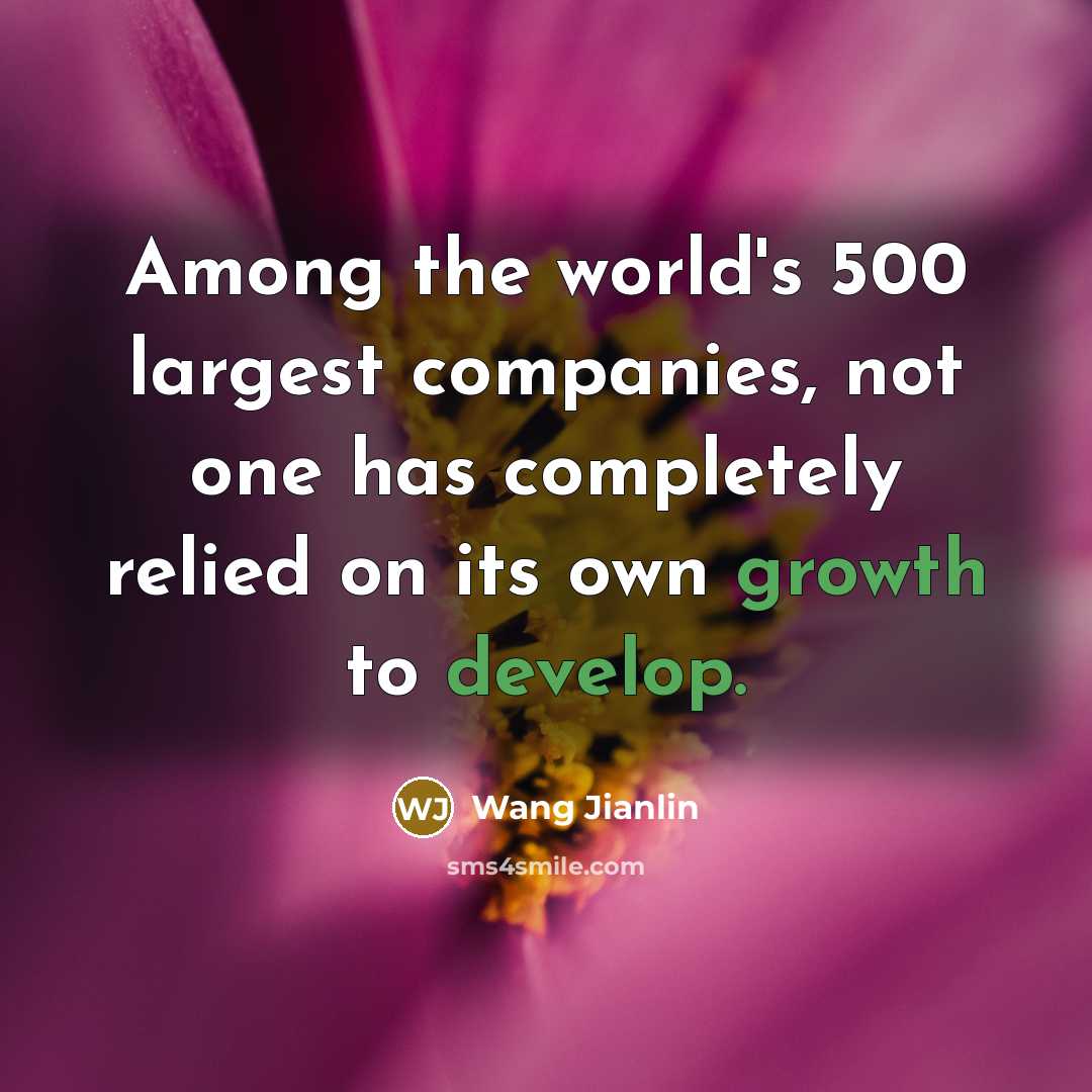 “Among the world's 500 largest companies, not one has completely…” quote by Wang Jianlin