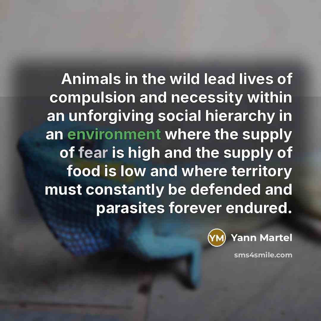 “Animals in the wild lead lives of compulsion and necessity…” quote by Yann Martel