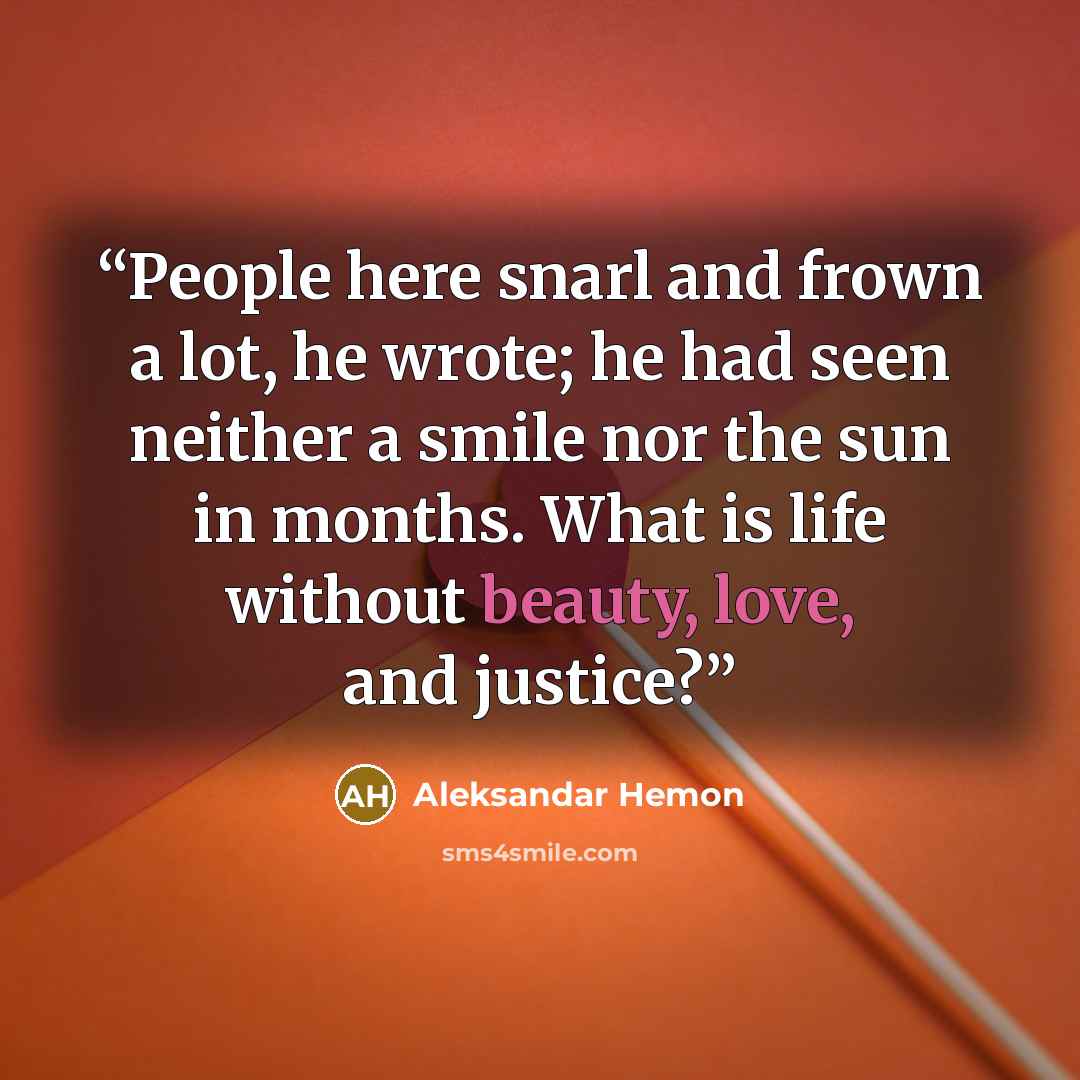 “People here snarl and frown a lot, he wrote; he had seen neither a smile nor the sun in months. What is life without beauty, love, and justice?” quote by Aleksandar Hemon