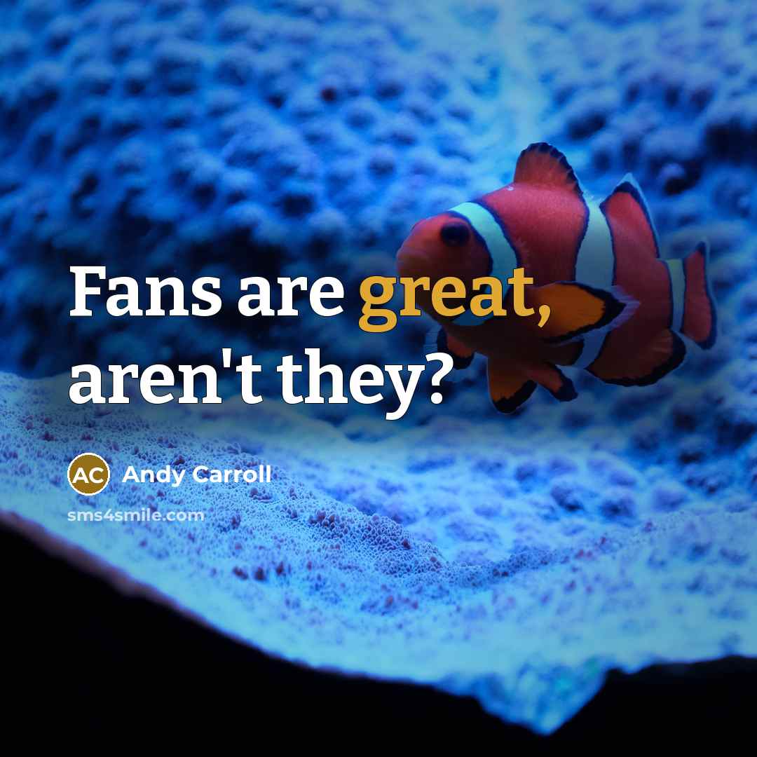 “Fans are great, aren't they?…” quote by Andy Carroll