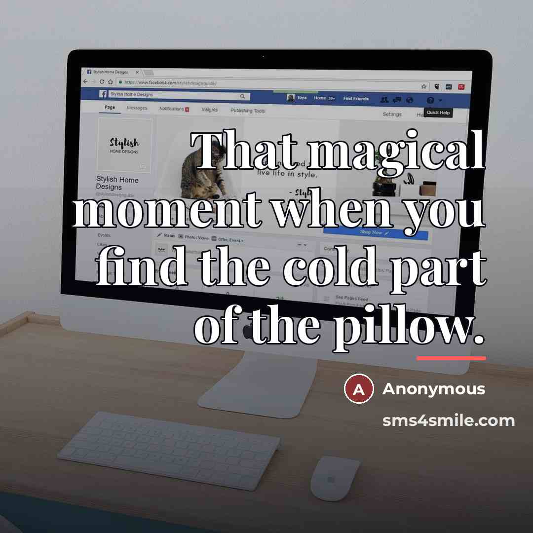 “That magical moment when you find the cold part of…” quote by Anonymous