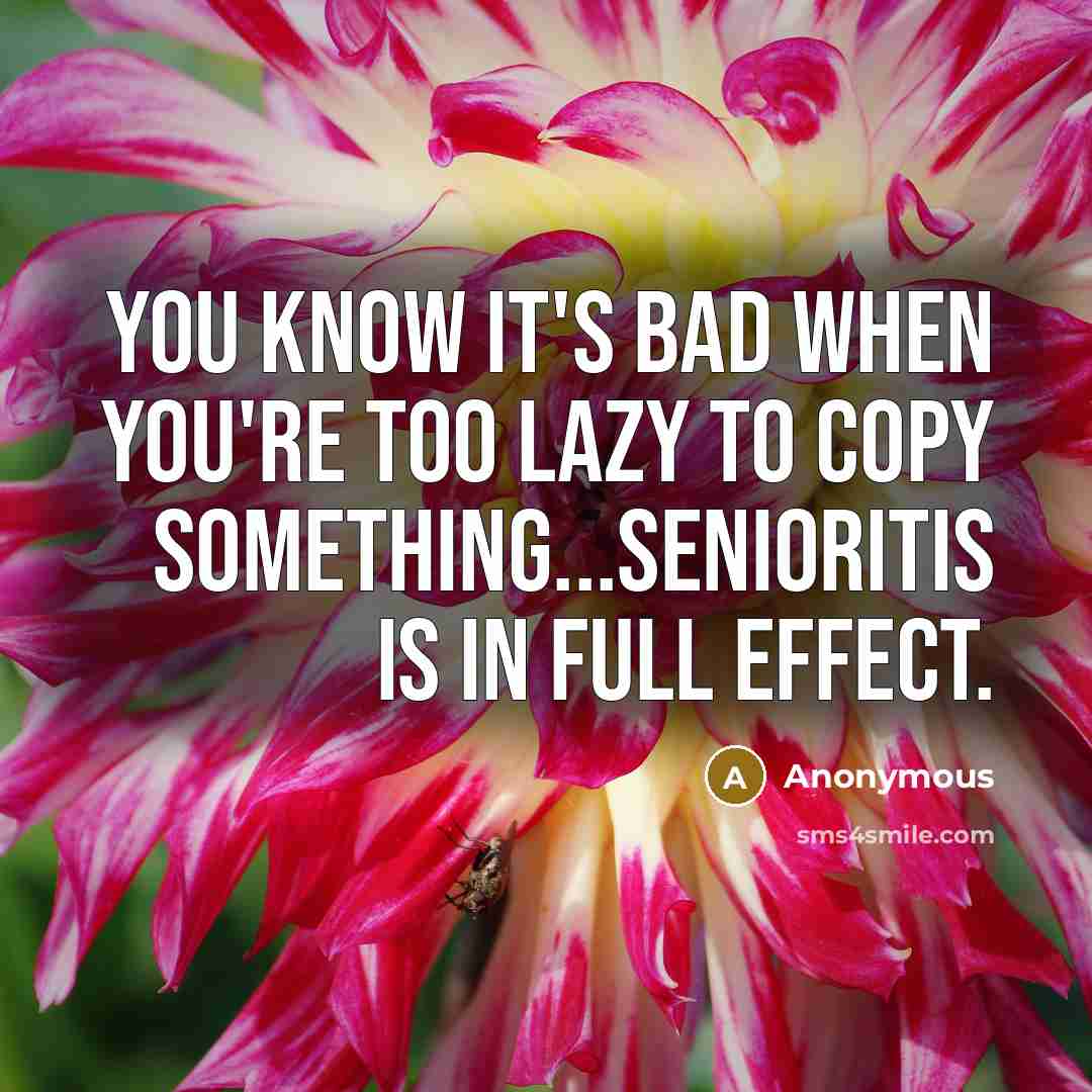 “You know it's bad when you're too lazy to copy…” quote by Anonymous