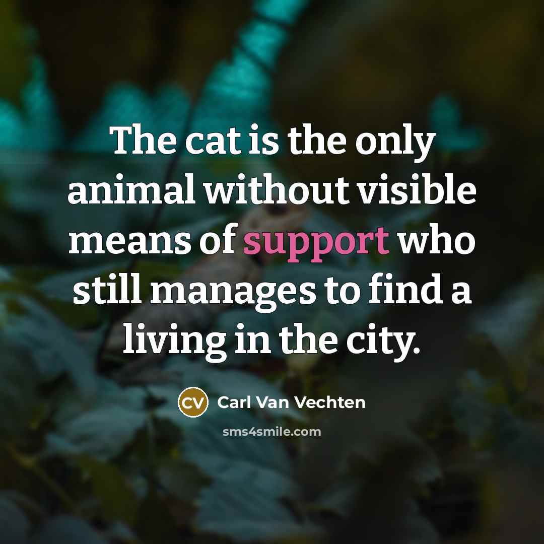 “The cat is the only animal without visible means of…” quote by Carl Van Vechten