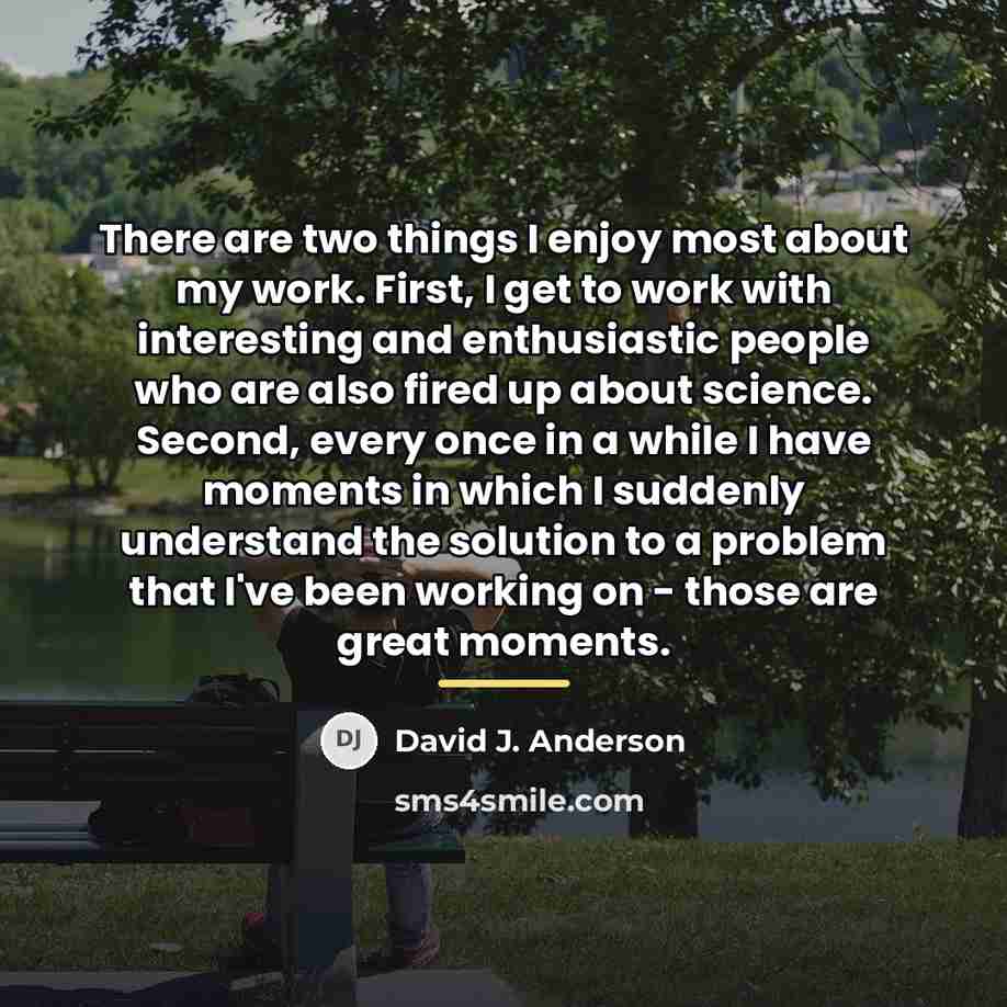 “There are two things I enjoy most about my work.…” quote by David J. Anderson
