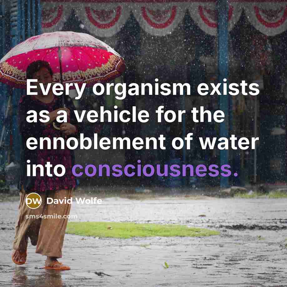 “Every organism exists as a vehicle for the ennoblement of…” quote by David Wolfe