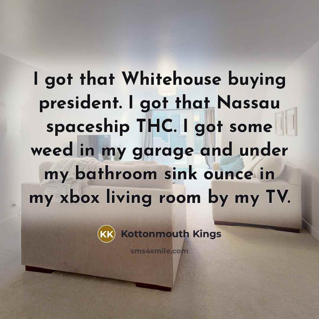 “I got that Whitehouse buying president. I got that Nassau…” quote by Kottonmouth Kings