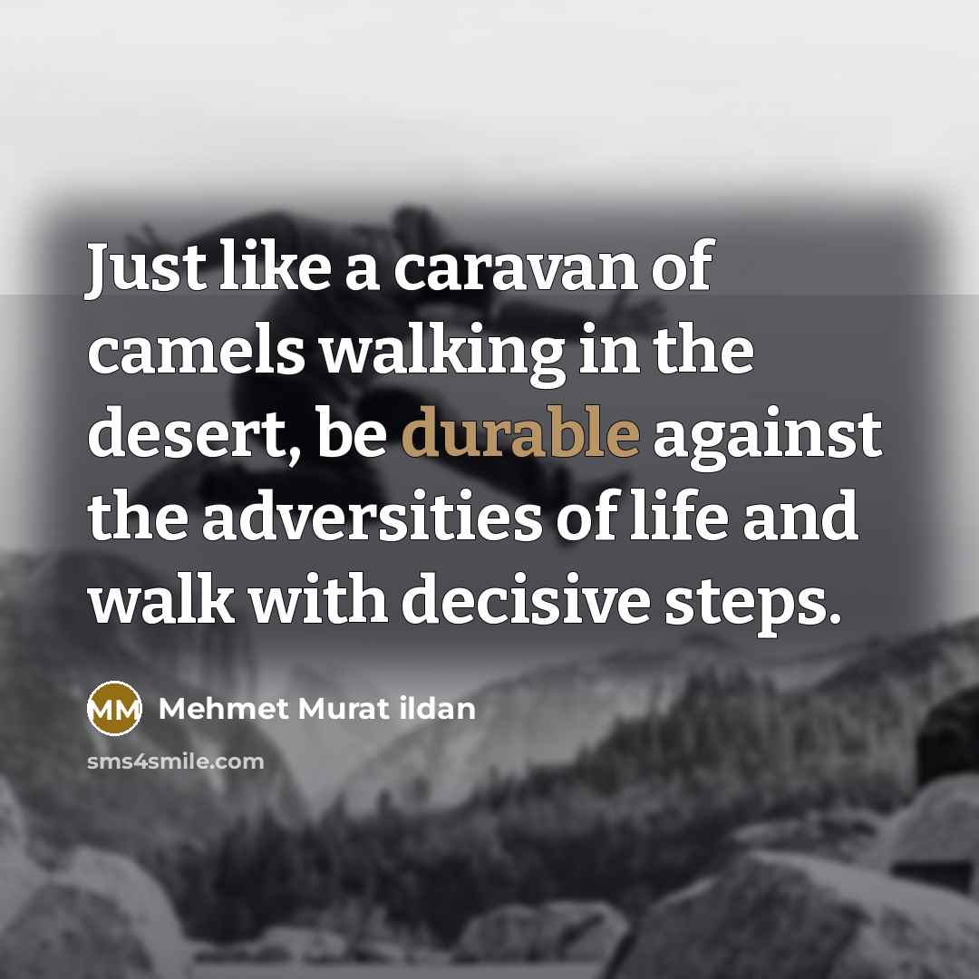 “Just like a caravan of camels walking in the desert,…” quote by Mehmet Murat Ildan