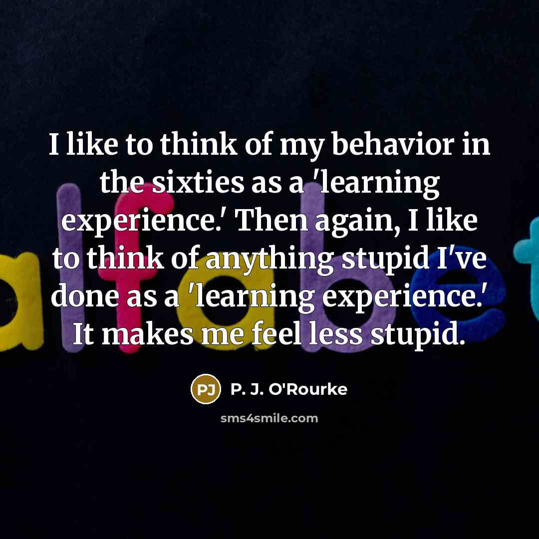 “I like to think of my behavior in the sixties…” quote by P. J. O'Rourke