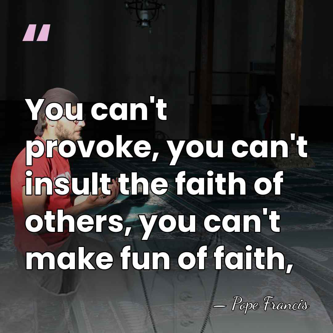You can't provoke, you can't insult the faith of others, you can't&hellip; - Pope Francis