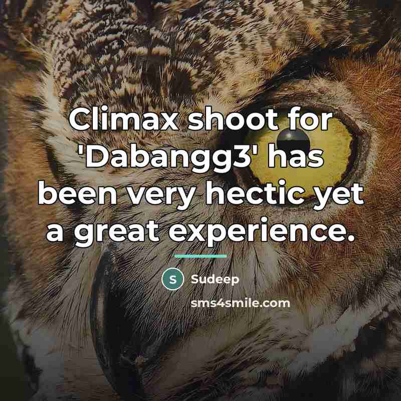 “Climax shoot for 'Dabangg3' has been very hectic yet a…” quote by Sudeep
