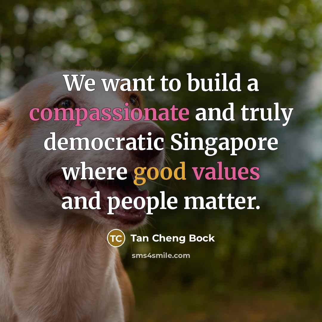 “We want to build a compassionate and truly democratic Singapore where good values and people matter.” quote by Tan Cheng Bock