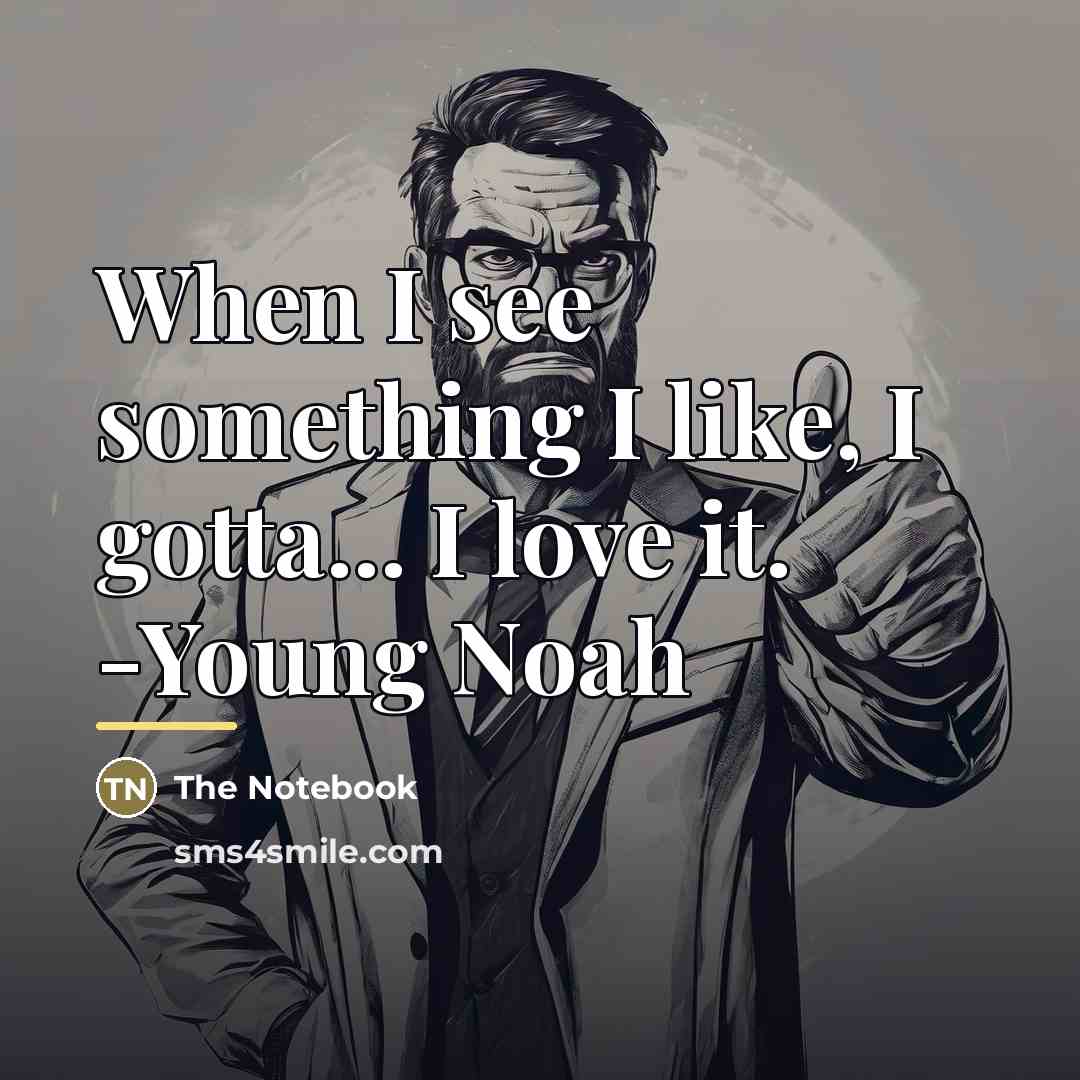“When I see something I like, I gotta... I love…” quote by The Notebook