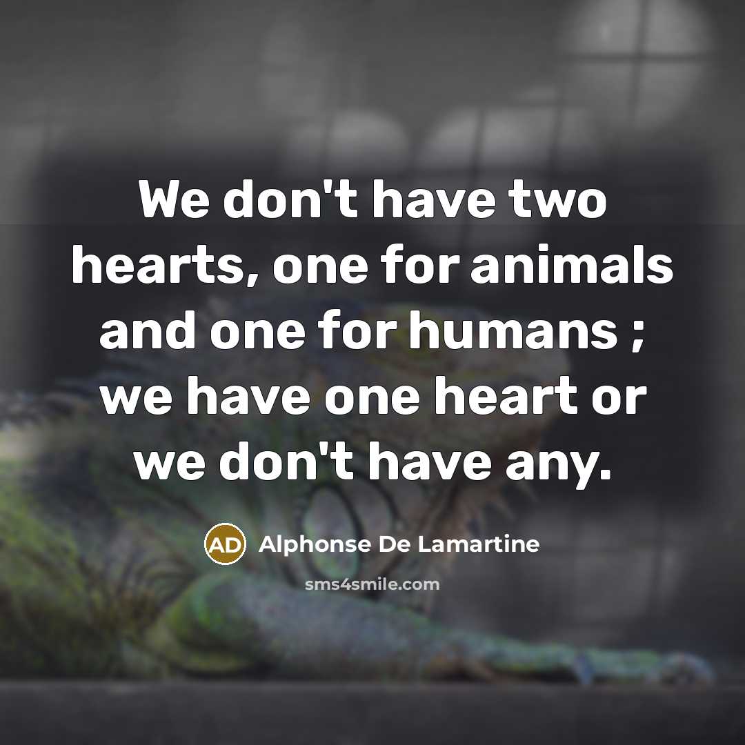 “We don't have two hearts, one for animals and one…” quote by Alphonse de Lamartine