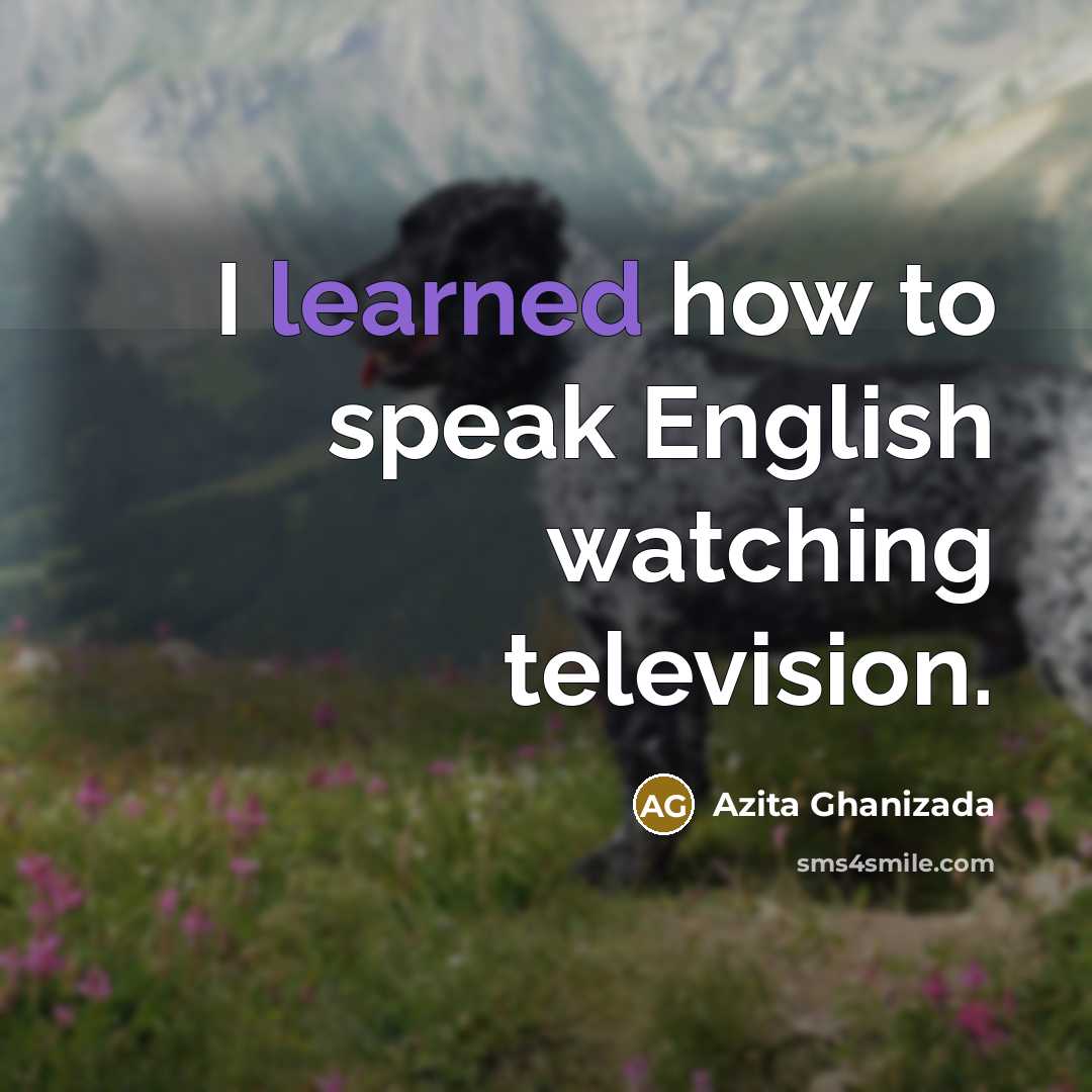 “I learned how to speak English watching television.…” quote by Azita Ghanizada