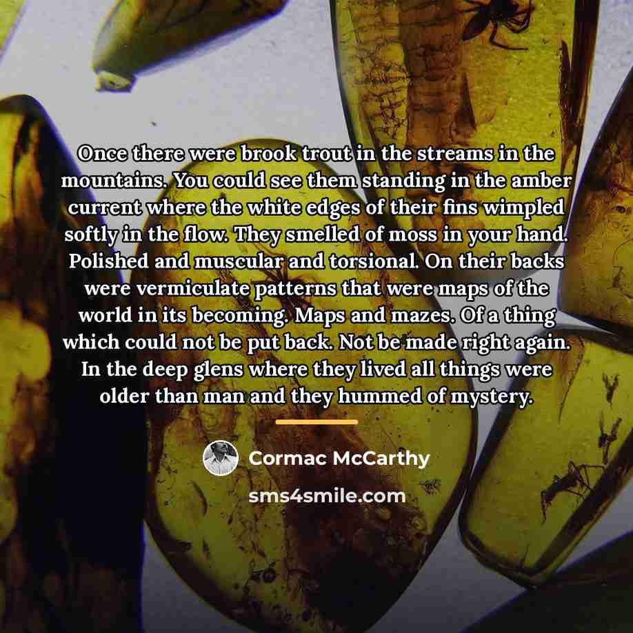 “Once there were brook trout in the streams in the…” quote by Cormac McCarthy