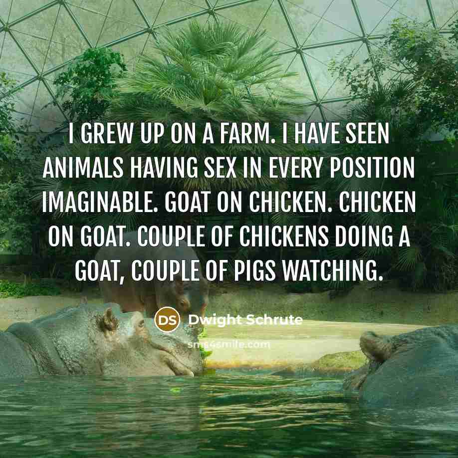 “I grew up on a farm. I have seen animals…” quote by Dwight Schrute