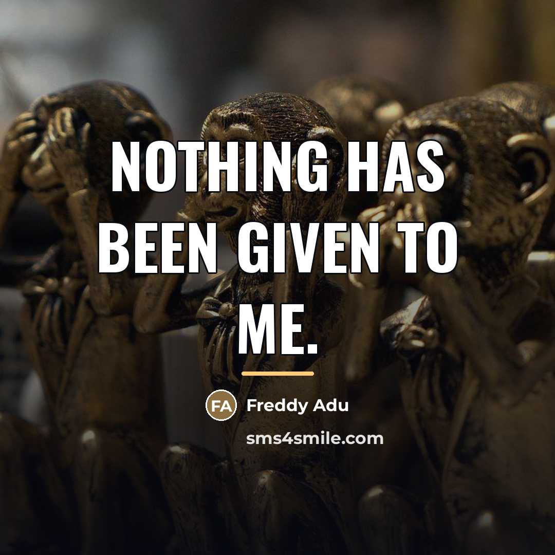 “Nothing has been given to me.…” quote by Freddy Adu