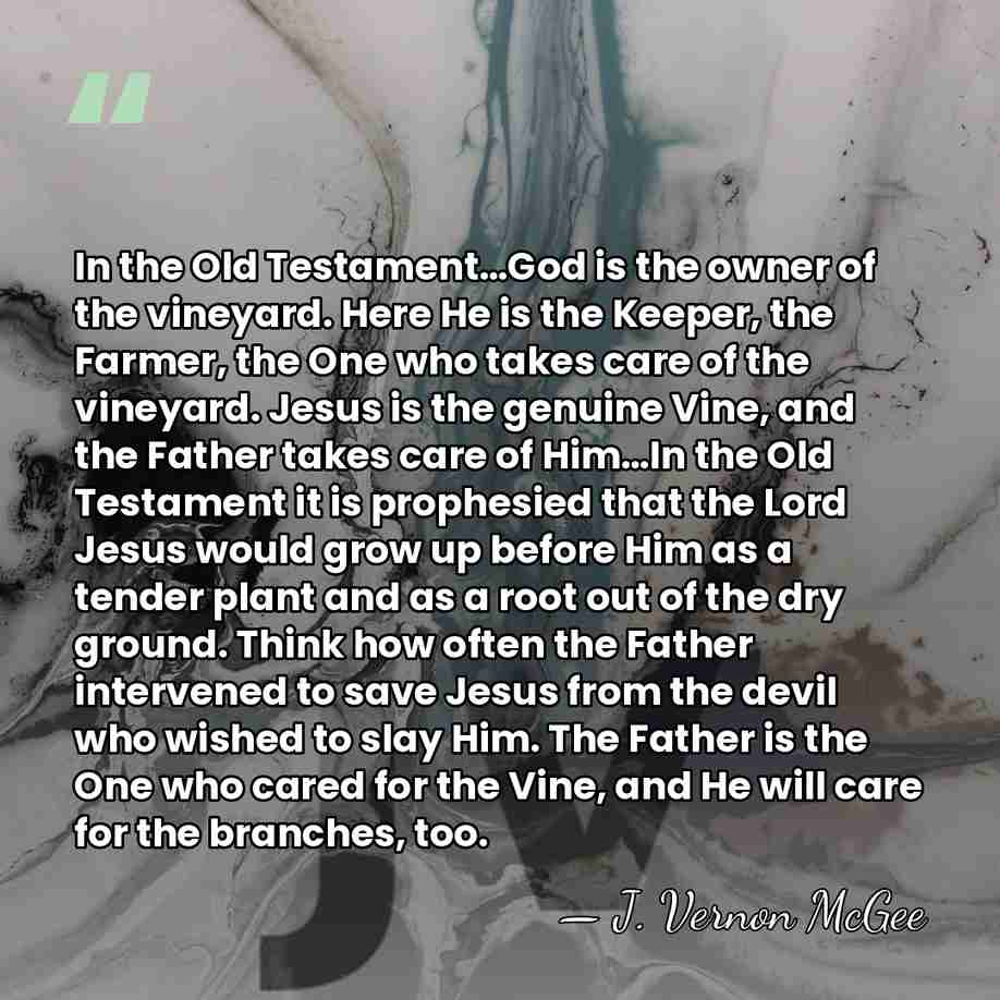 In the Old Testament…God is the owner of the vineyard. Here He&hellip; - J. Vernon McGee