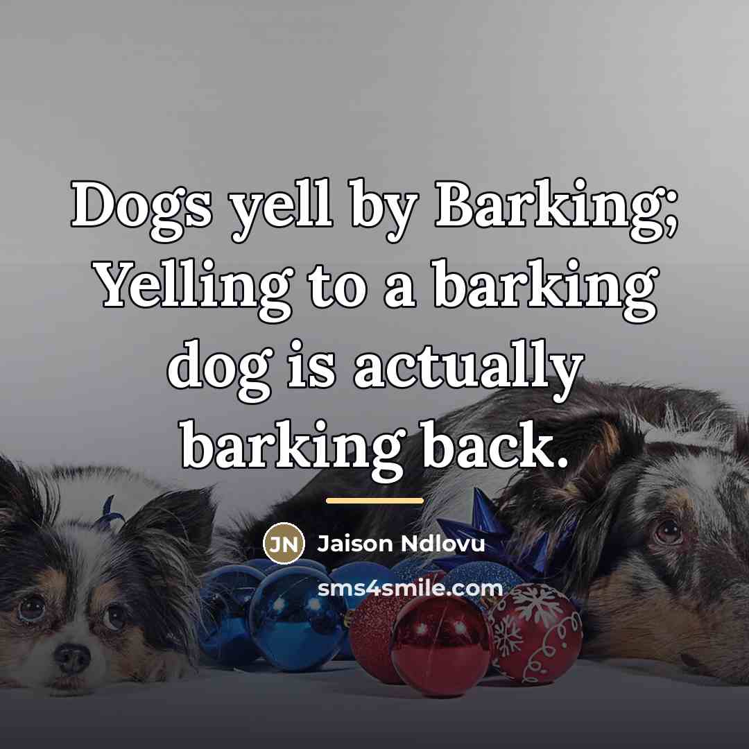 “Dogs yell by Barking; Yelling to a barking dog is…” quote by Jaison Ndlovu