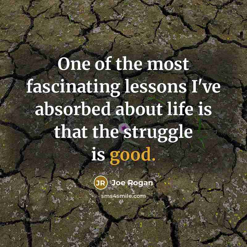 “One of the most fascinating lessons I've absorbed about life…” quote by Joe Rogan