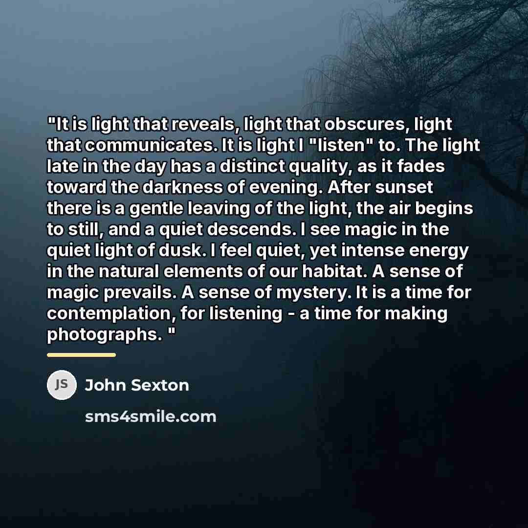 “"It is light that reveals, light that obscures, light that…” quote by John Sexton