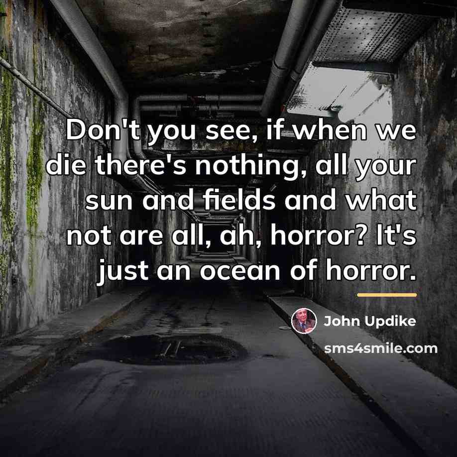 “Don't you see, if when we die there's nothing, all…” quote by John Updike