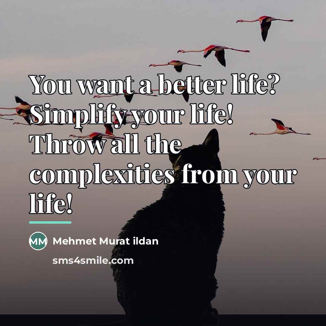 “You want a better life? Simplify your life! Throw all…” quote by Mehmet Murat Ildan