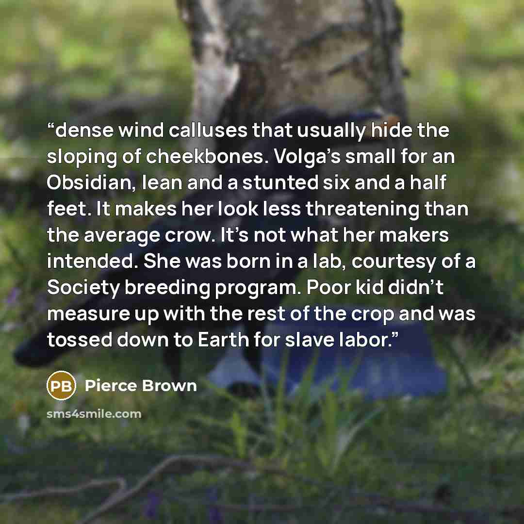 “dense wind calluses that usually hide the sloping of cheekbones. Volga’s small for an Obsidian, lean and a stunted six and a half feet. It makes her look less threatening than the average crow. It’s not what her makers intended. She was born in a lab, courtesy of a Society breeding program. Poor…” quote by Pierce Brown
