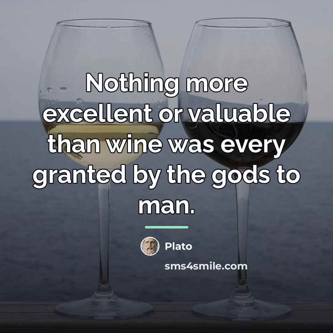 “Nothing more excellent or valuable than wine was every granted…” quote by Plato
