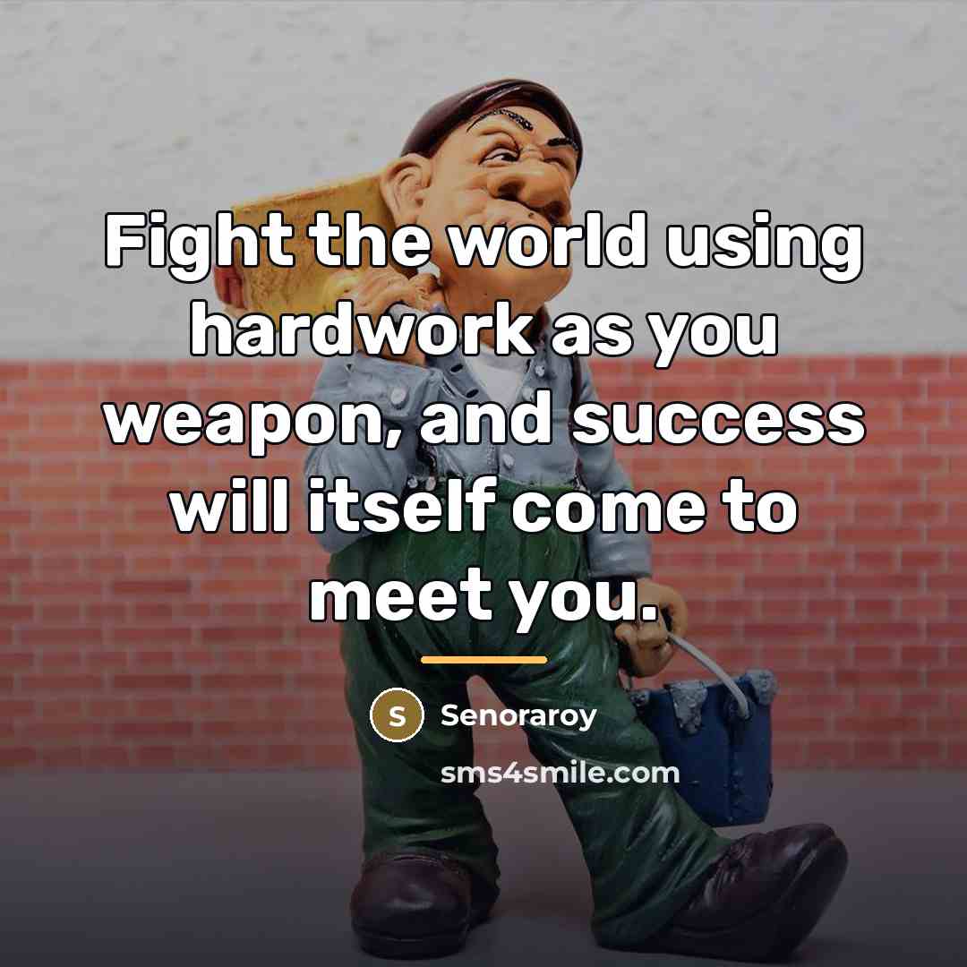 “Fight the world using hardwork as you weapon, and success…” quote by Senoraroy