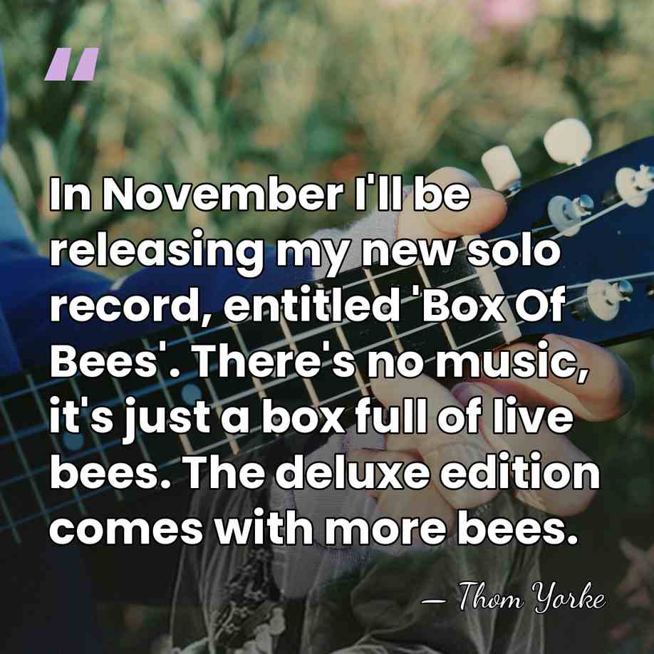 In November I'll be releasing my new solo record, entitled 'Box Of&hellip; - Thom Yorke