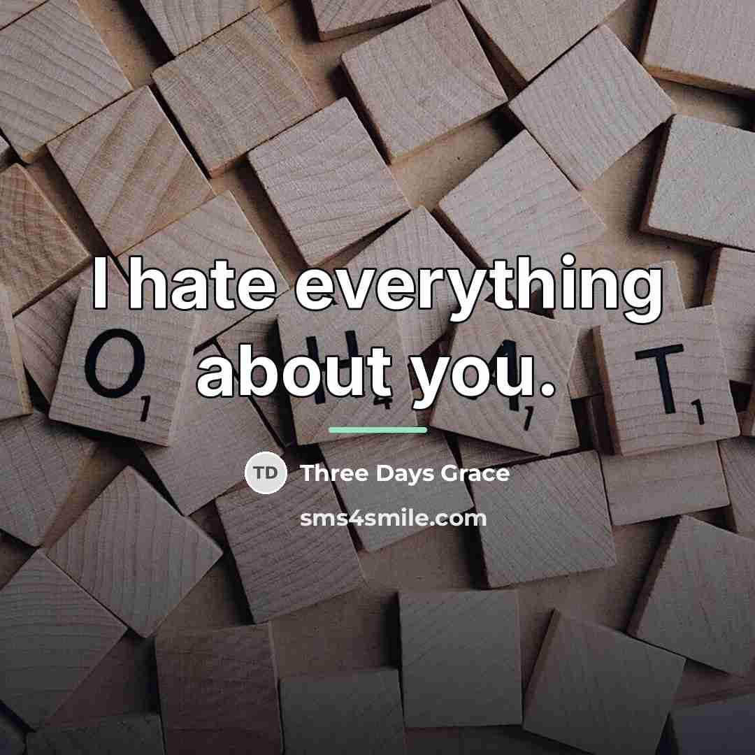 “I hate everything about you.…” quote by Three Days Grace