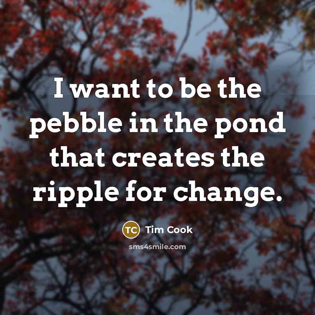“I want to be the pebble in the pond that…” quote by Tim Cook