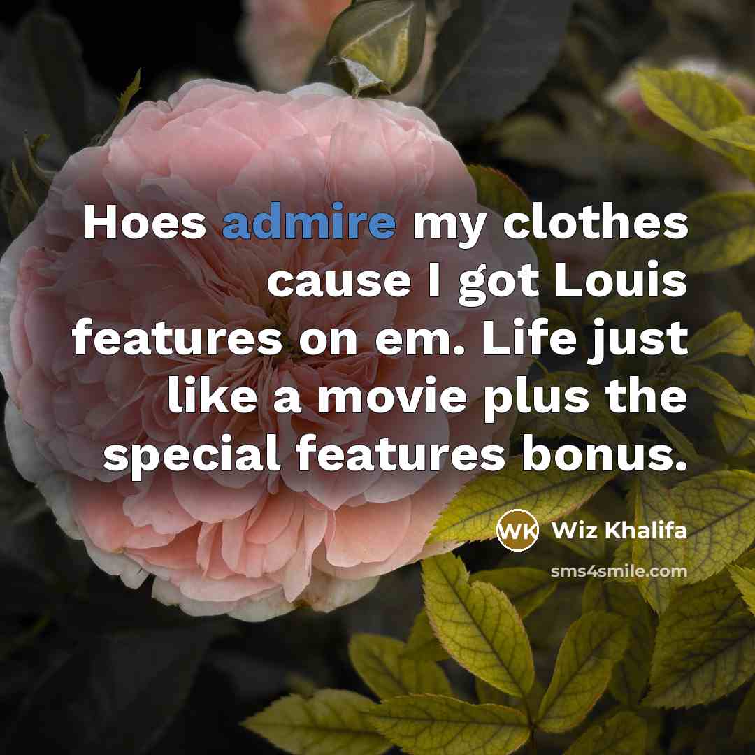 “Hoes admire my clothes cause I got Louis features on…” quote by Wiz Khalifa