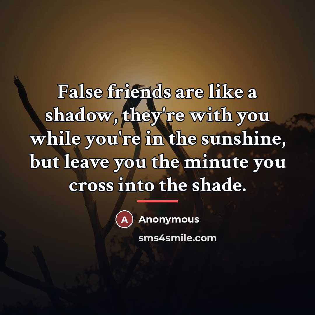 “False friends are like a shadow, they're with you while…” quote by Anonymous