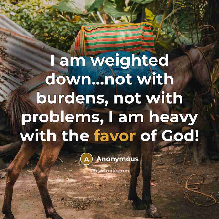 “I am weighted down...not with burdens, not with problems, I…” quote by Anonymous
