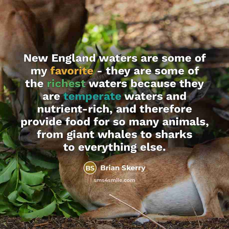 “New England waters are some of my favorite - they…” quote by Brian Skerry