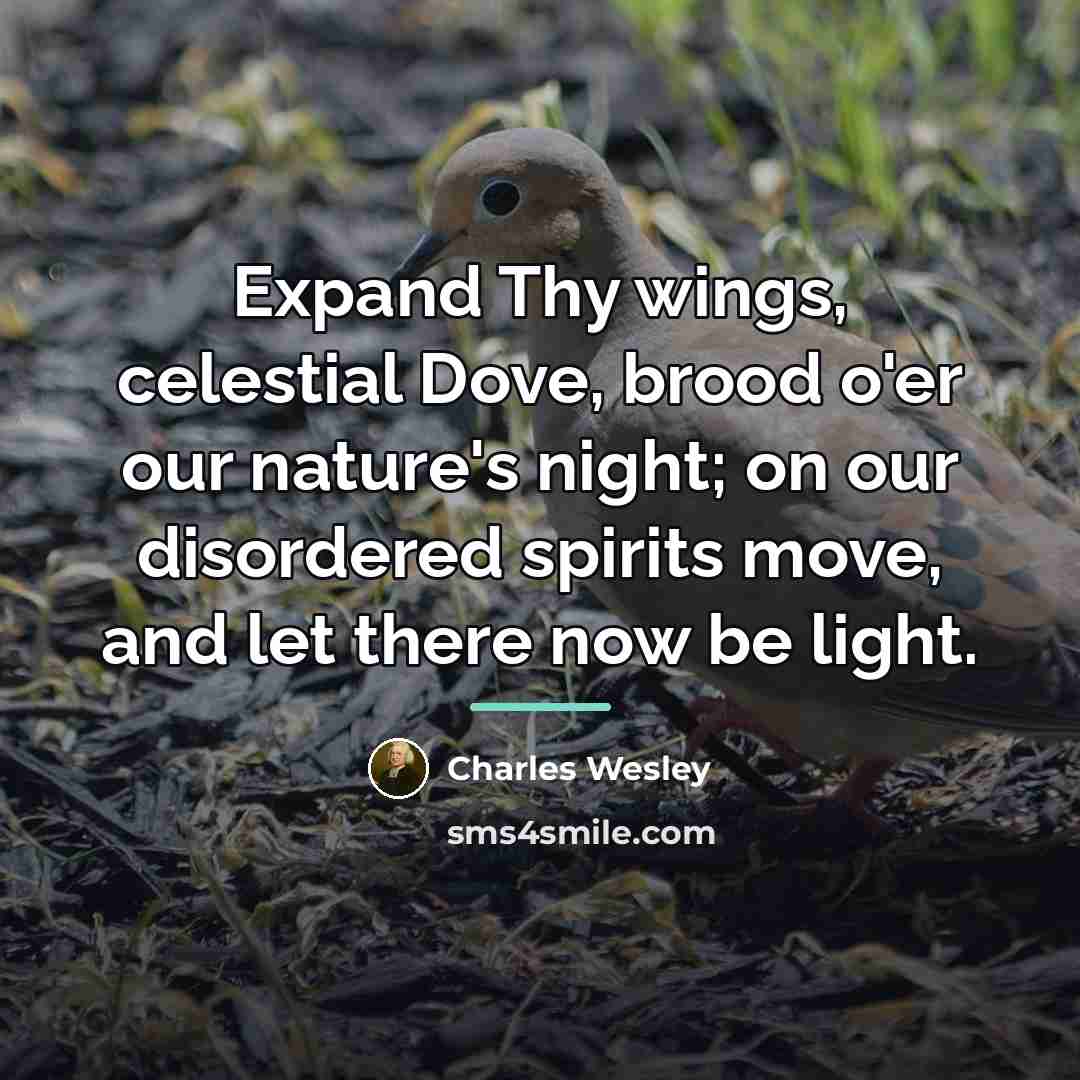 “Expand Thy wings, celestial Dove, brood o'er our nature's night;…” quote by Charles Wesley