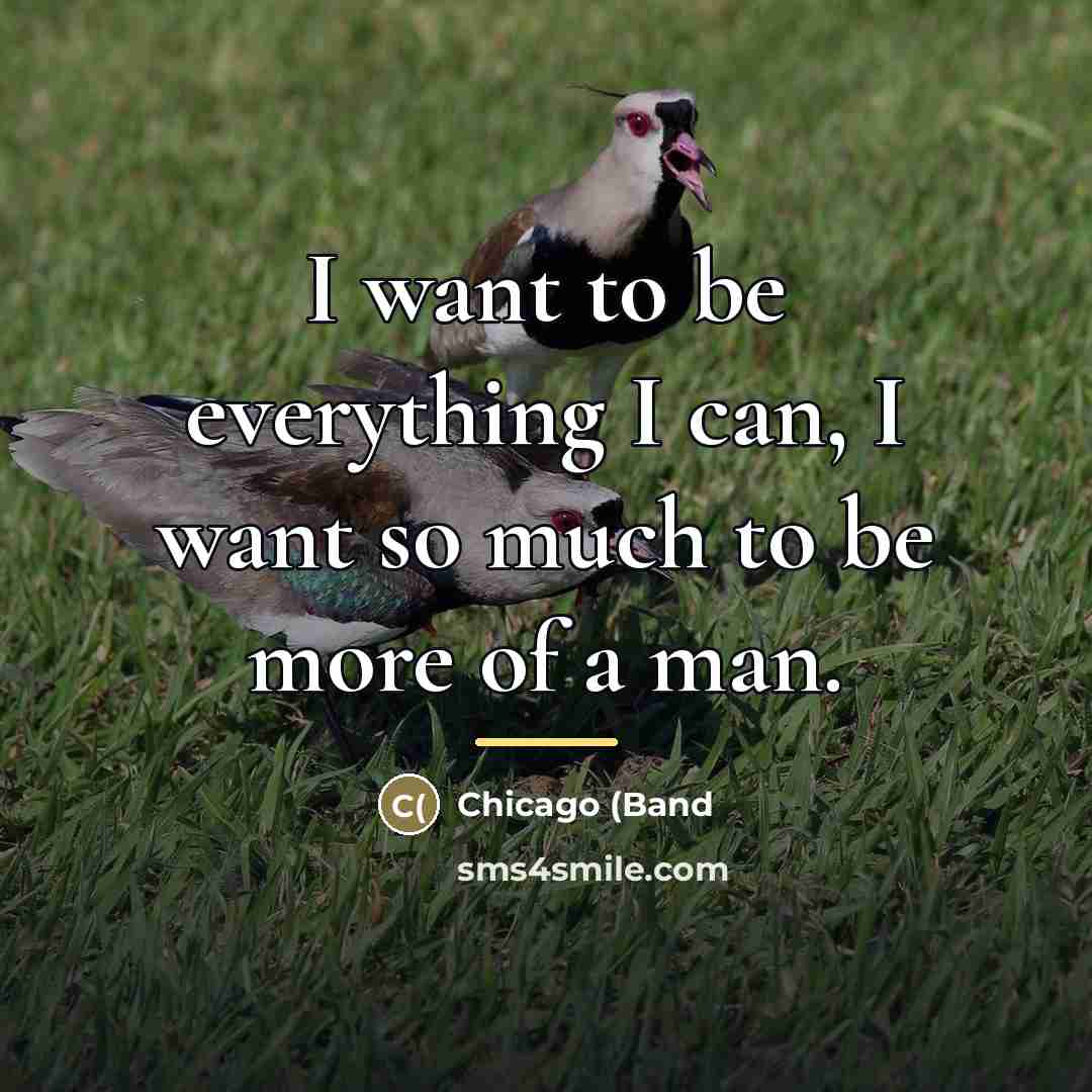 “I want to be everything I can, I want so…” quote by Chicago (Band